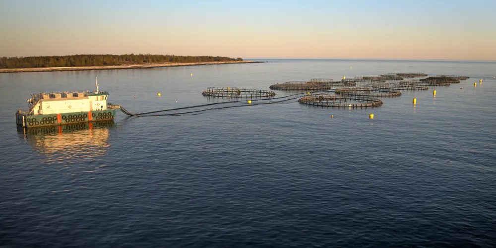 Cooke is aiming to expand operations in Nova Scotia at its Coffin Island site.