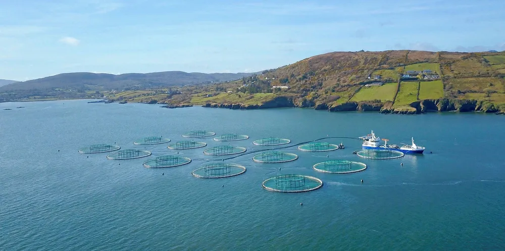 Mowi has 13 operations across five coastal counties in Ireland. It employs nearly 300 people there, recording annual sales of €66.1 million ($73.1 million).