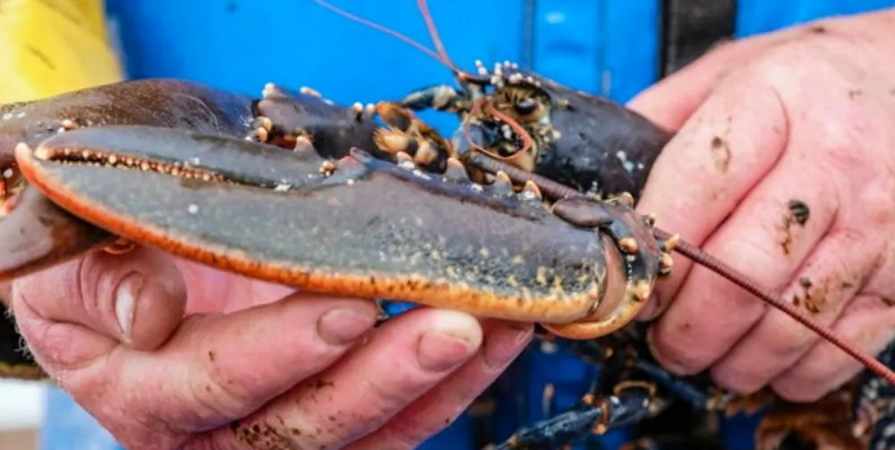 'After 12 years in this sector we find it depressing that so little progress has been made in terms of marine environmental protection,' said the company.