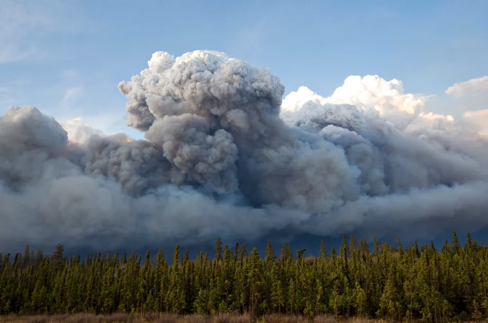 Alberta: smoke rises above trees as a wildfire burns in Fort McMurray