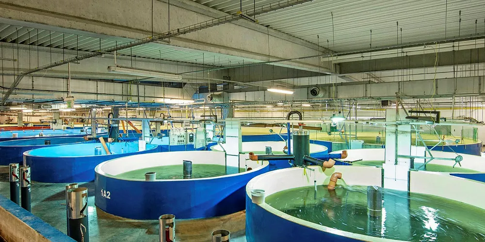 AquaMaof land-based farming tanks.