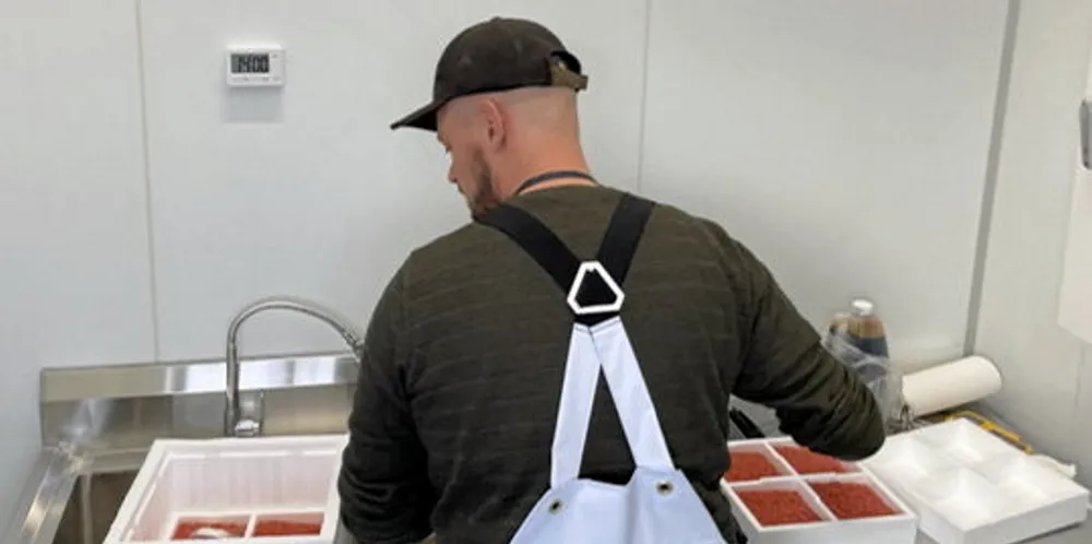 Salmon eggs are unloaded at Proximar's hatchery in Japan.