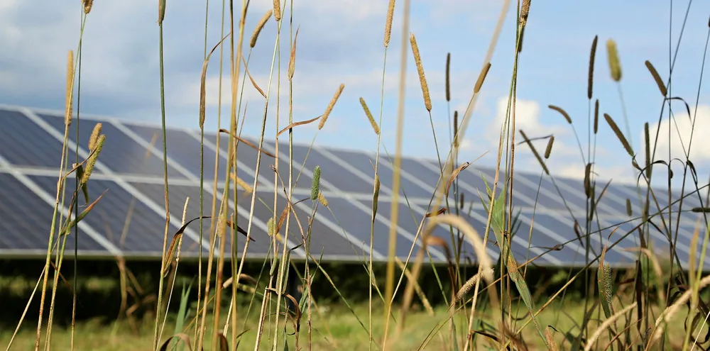 Solarcentury Chittering PV plant in Cambridgeshire, UK