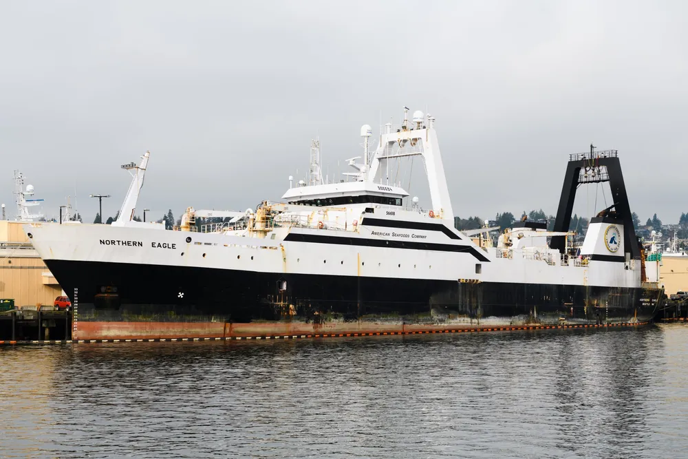 American Seafoods is the largest quota share holder in the Bering Sea/Aleutian Island directed pollock fishery and a bedrock member of the Genuine Alaska Pollock Producers (GAPP).