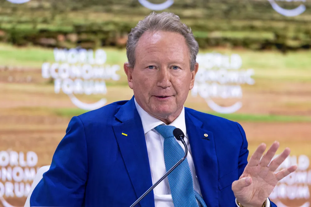Fortescue chairman Andrew Forrest speaking on a panel at the World Economic Forum in Davos.