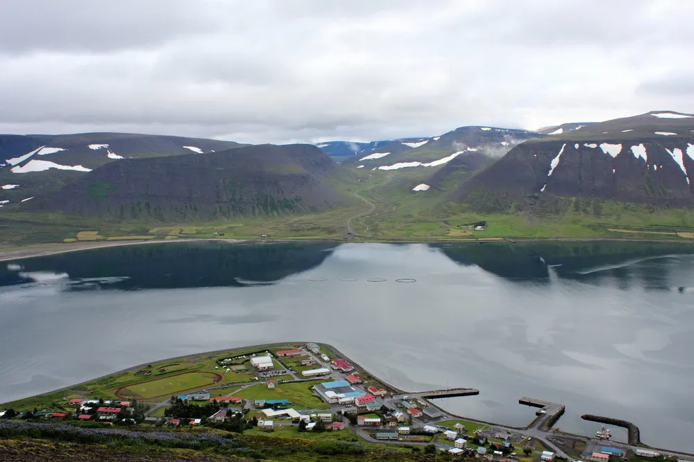 Det islandske oppdrettsselskapet Arctic Fish har fått ny administrerende direktør.