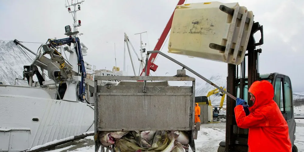 KRITISK: Opposisjonen er kritisk til fiskeriministerens heving av kvotetaket i kystflåten. Vedtaket kan bli endret til høsten.Foto: Ingun A. Mæhlum