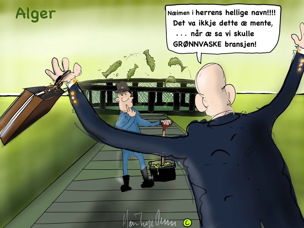 Ukens strek: Grønnvasking