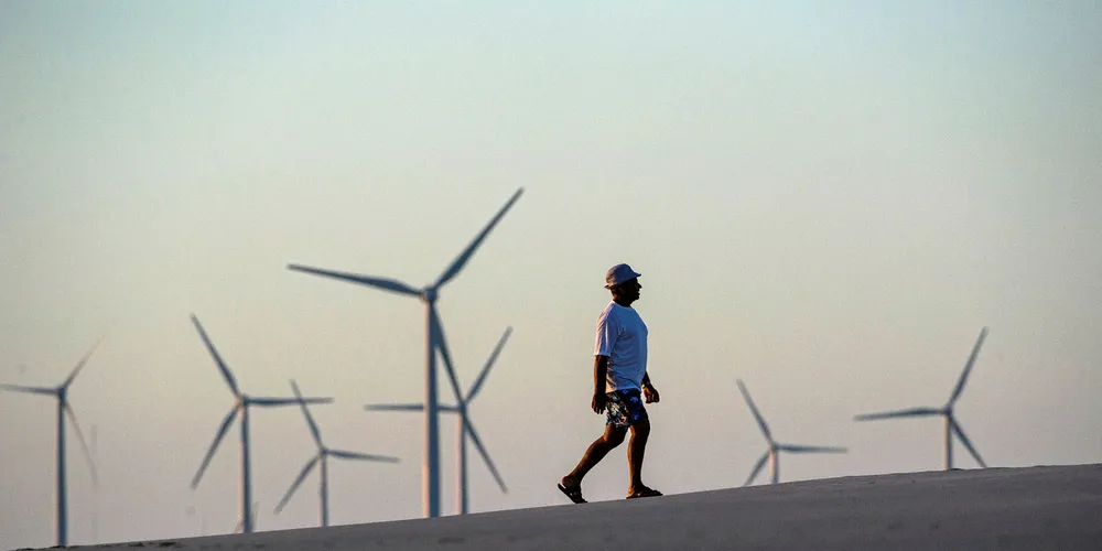 The new tenders end a two-year spell without any government-backed procurement