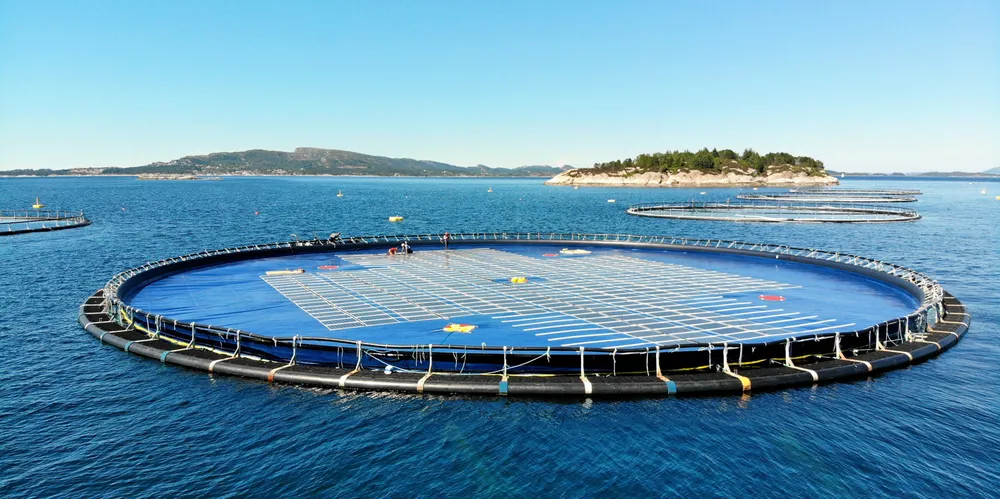 Testanlegg for flytende sol hos Lerøy Sjøtroll ved Austevoll.