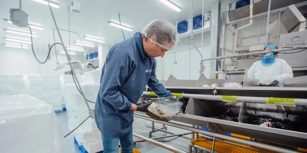 Johan E. Andreassen er grunnlegger og toppsjef i Atlantic Sapphire som produserer laks på land i Florida. Selskapet meldte mandag morgen om nye problemer.