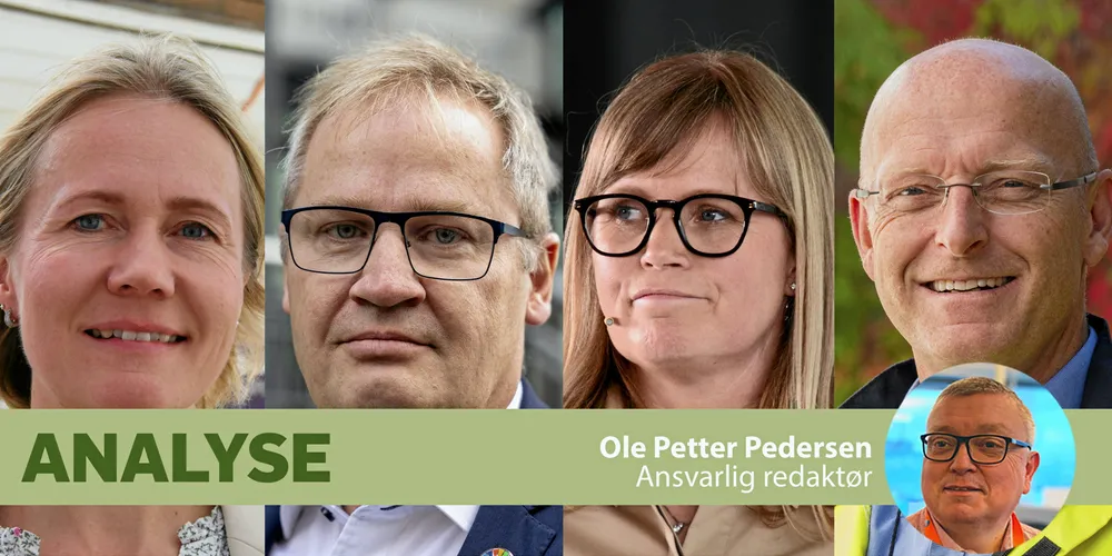 Elvia, Energi Salg Norge, Statkraft Energi og Hafslund Produksjon er blant de aller største operative selskapene innen fornybar energi.