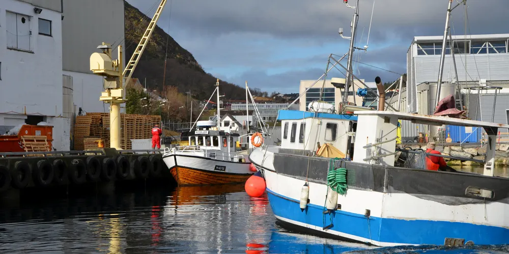 Det kan derfor ikke være tvil om at strukturpolitikken har ført til en ensidig flytting av kvoter fra mindre kystfiskefartøyer til store havfiskefartøyer.
