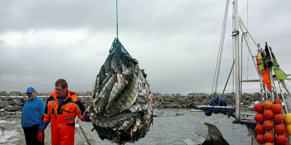 UTVALGENES NÆRING: Det settes til stadighet ned nye ekspertutvalg i fiskerinæringen, men hvor mye av politikken endres når konklusjonene foreligger? Mer eller mindre null, skriver Øystein Hage.Foto: Terje Jensen