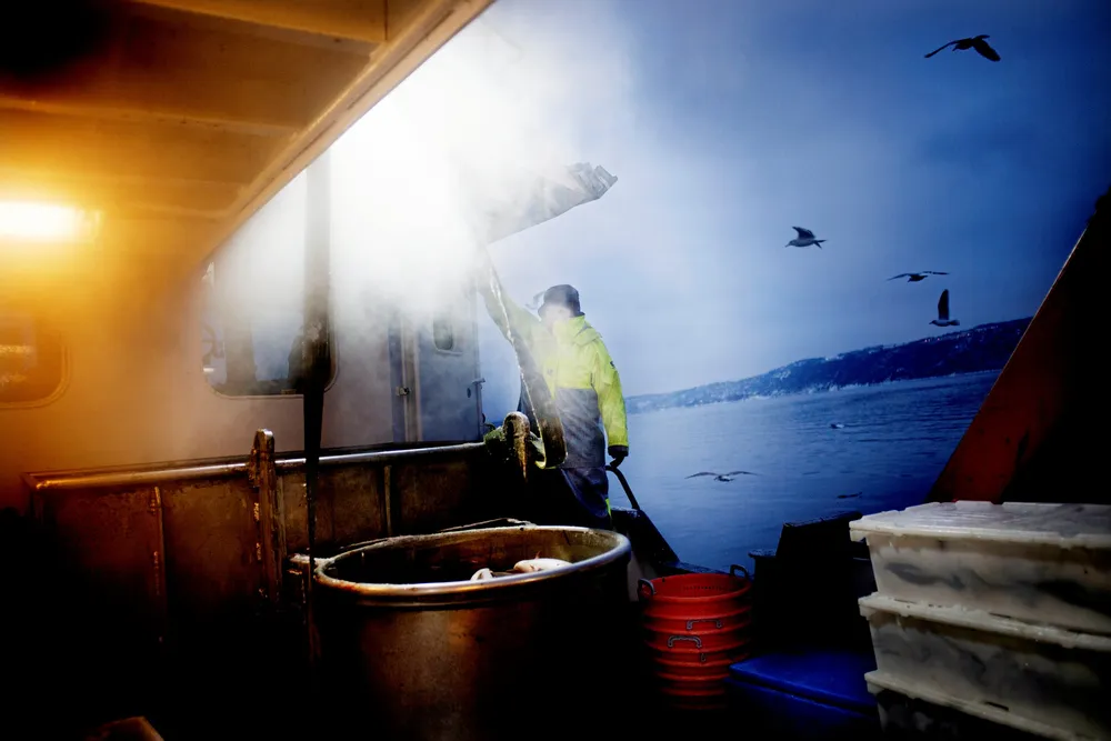Fiskerne i Oslofjorden trues nå som mange vil forby alle typer fiskeri i fjorden.