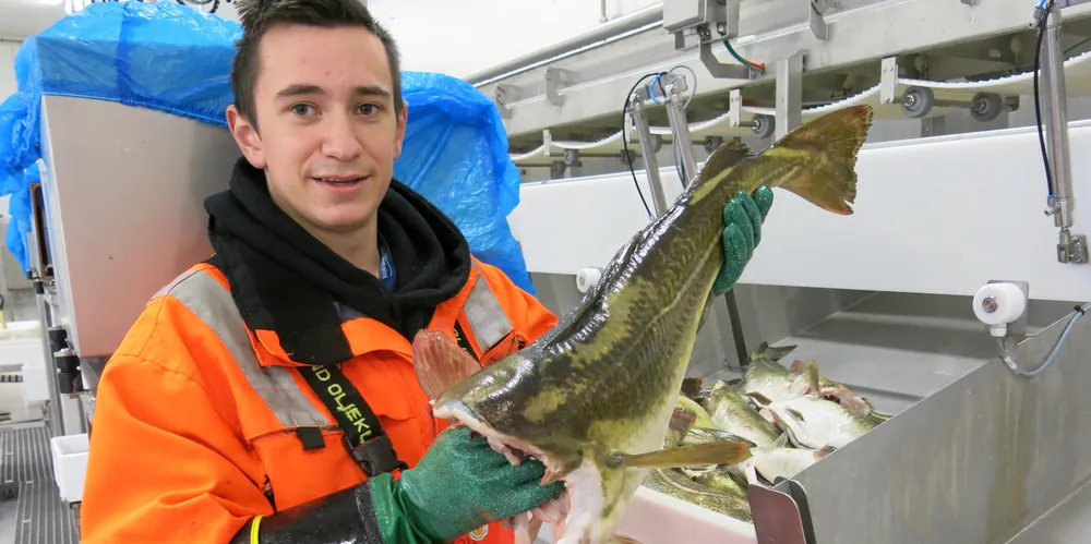 The Norwegian in-shore cod fishing sector is facing a massive market shock from the upcoming loss of the Marine Stewardship Council (MSC) eco-label status.