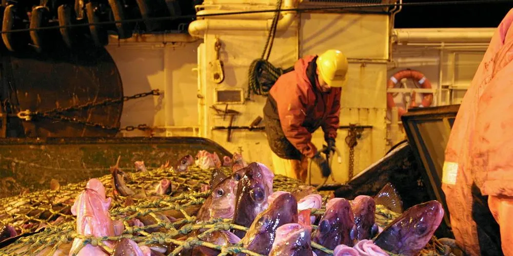 KVOTEBANK: - Staten er ikkje ein snill bestefar som deler raust ut verdfulle fiskekvotar til dei trengande, staten er ein rå kapitalist, skriv tidlegare fiskeskipper Knut Arne Høyvik i eit debattinnlegg om regjeringas forslag om ein statleg kvotebehaldning.Foto: Bjørn Tore Forberg