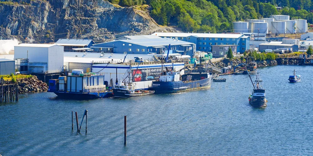 As part of a reorganization of the company, Trident Seafoods is selling off four of its Alaska processing plants.