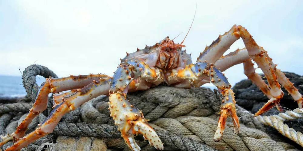 Russian Crab plans to dig its claws deeper into fresh and frozen product processing.