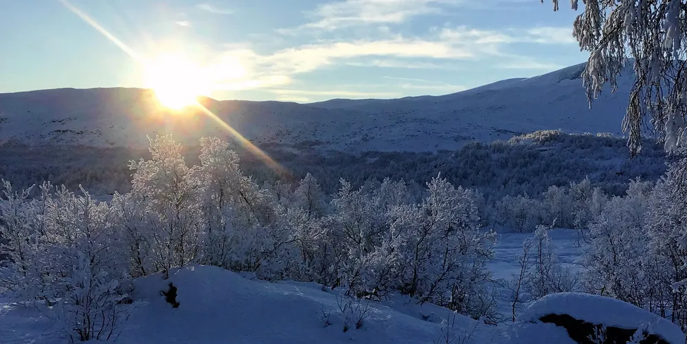 Utsikta mot havet og fjorden er erstatta av utsyn mot fjellvidder med sparsam vegetasjon, for Øystein Sandøy