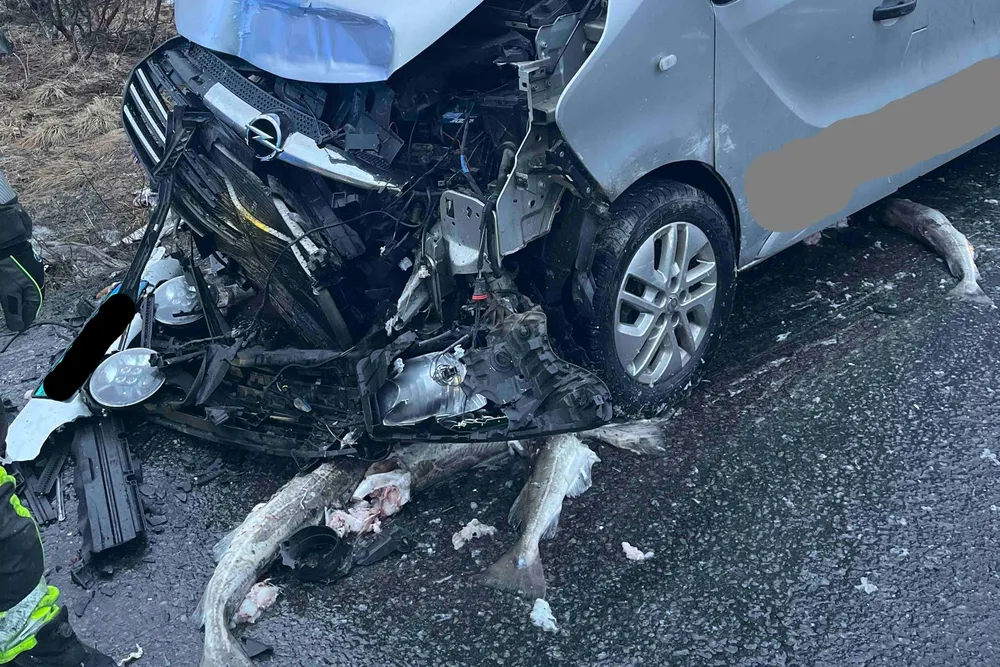 Last fra fisketransport falt ut av sidedør på trailer og traff motgående personbil i fronten i Vestvågøy, Skarvsteinan, kvelden 1. april.
