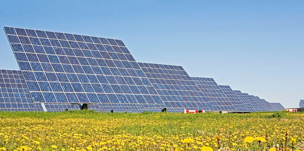 Acciona's US solar build is underway.