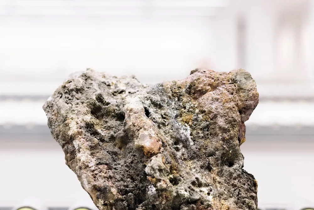 Klumper av sulfid finnes det også på norsk sokkel, også disse med en svært høy konsentrasjon av sjeldne mineraler fra jordens indre.