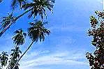 Teregganu: Malaysian state is home to Petronas' Kertih gas facilities.