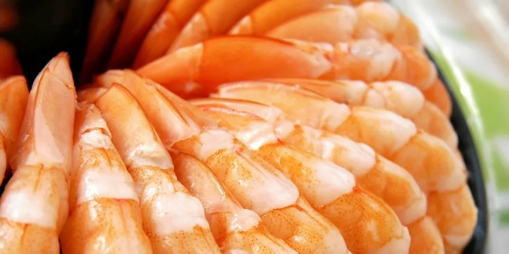 Vannamei shrimp
