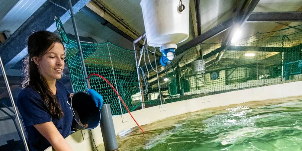 Legal challenges have been filed against Kingfish Maine by Protect Downeast.