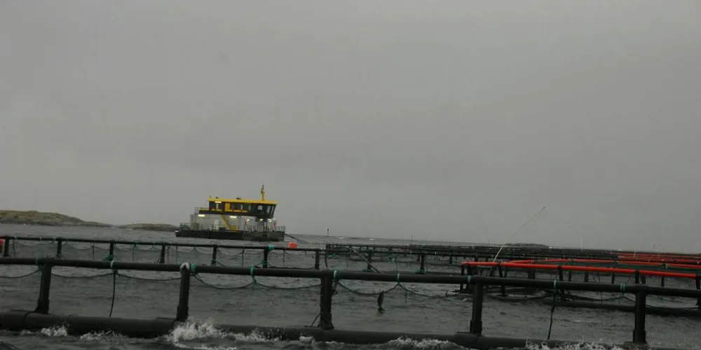 ENDRER FORSKRIFT: Mattilsynet endrer PD-forskriften nord i Trøndelag. Her Midt-Norsk Havbruk sin lokalitet Humulen i Vikna kommune.Foto: Gøril Frømyr Borgen