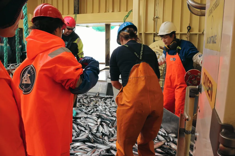 Bildet er fra Havforskningsinstituttets makrelltokt i 2022. Nå takker institutttet nei takk til toktmidler fra fiskerinæringen.