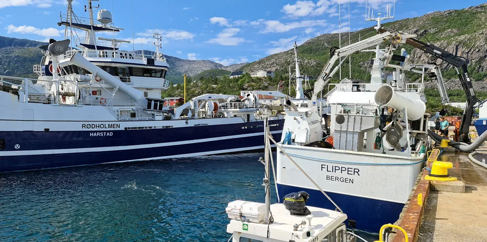 Ved siden av en bedre ressursutnyttelse kan en fleksibilitet også representere en kvalitets- og miljøgevinst for fiskeflåten.