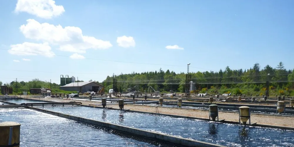 Slår tilbake etter år med tøff konkurranse