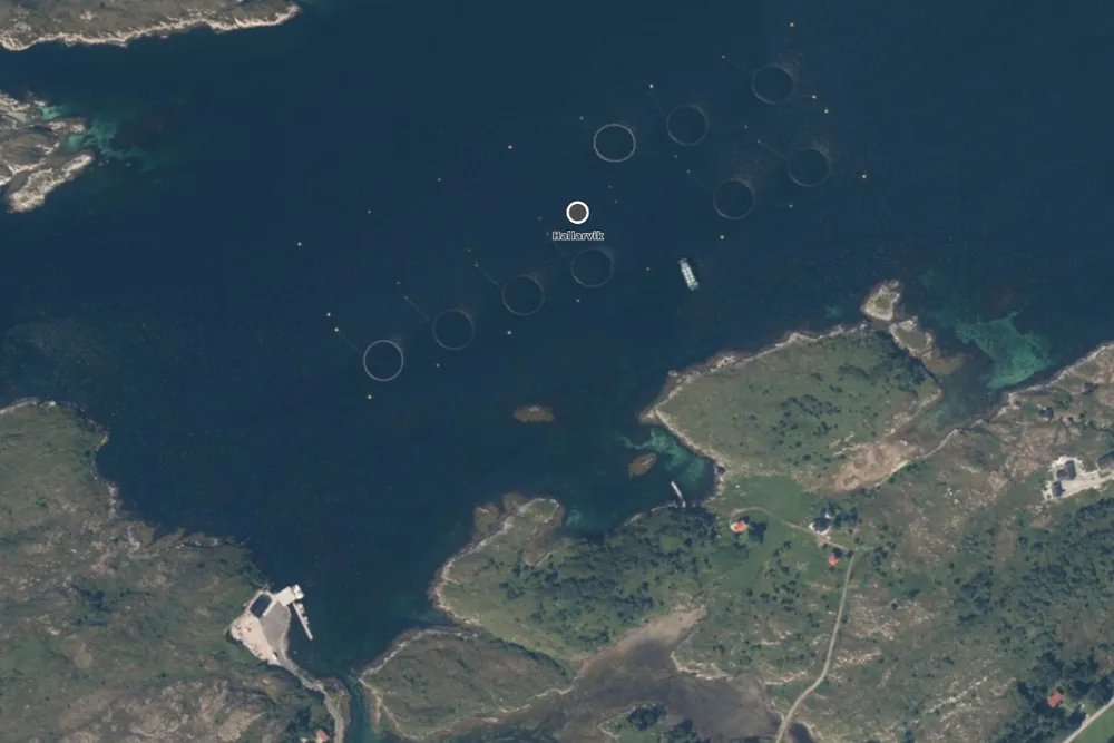 Knutshaugfisk sin lokalitet Hallarvik i Hitra.