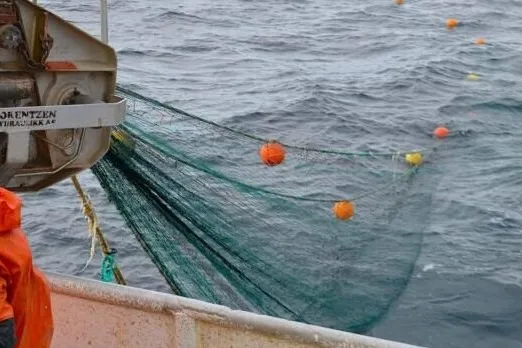 Fiskere i arbeid med snurrevad