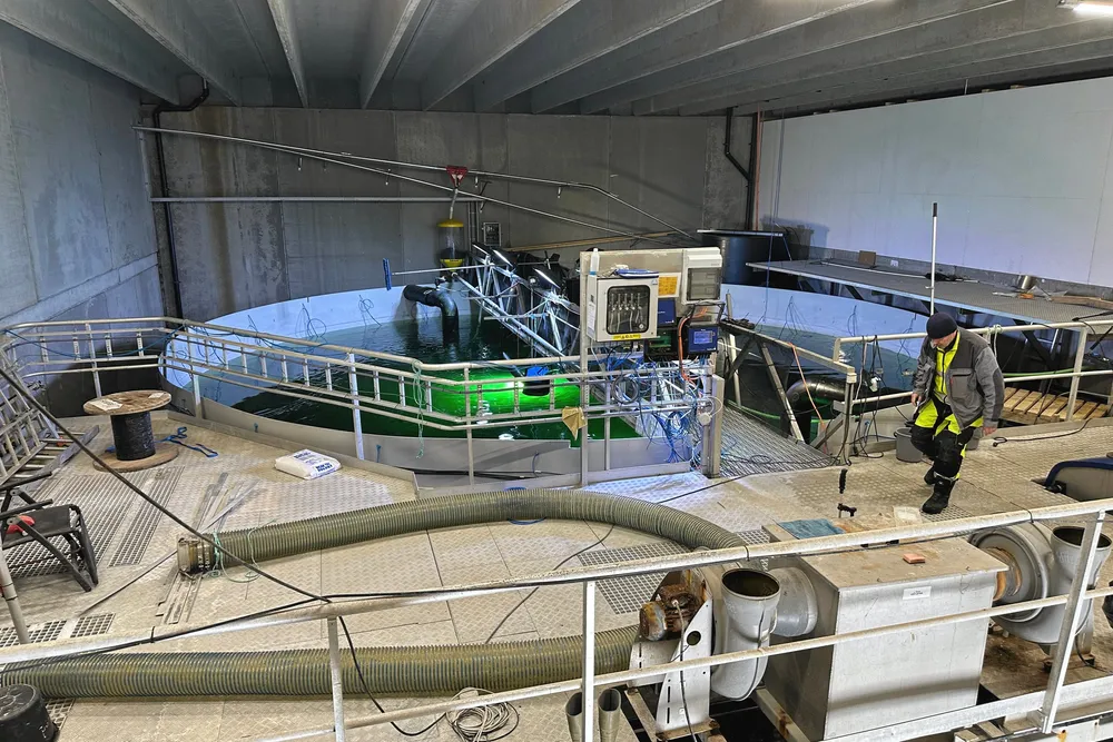 Biofish's production site at Ljones in Kvam, Norway.