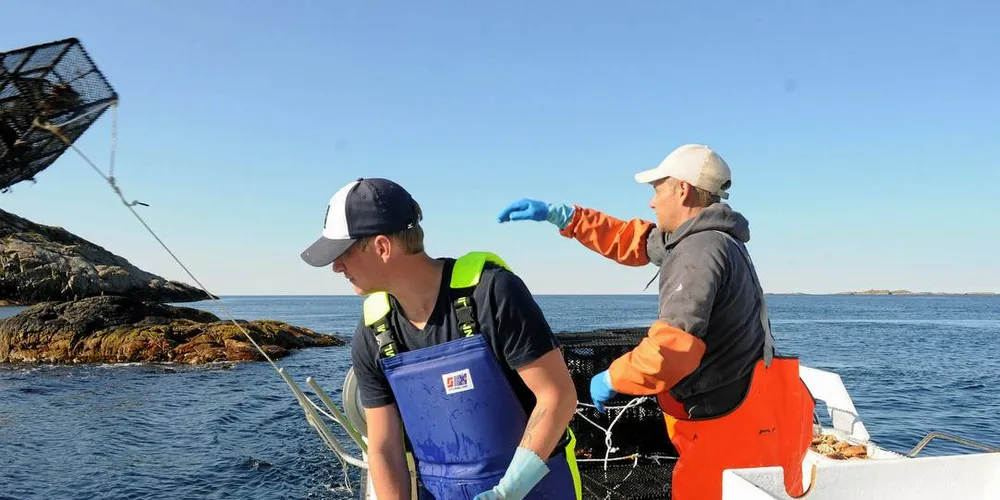 HALVVEIS: Leppefiskflåten er i gjennomsnitt kommet halvveis til årets makskvote per båt på 75.000 fisk.Foto: KJERSTI KVILE