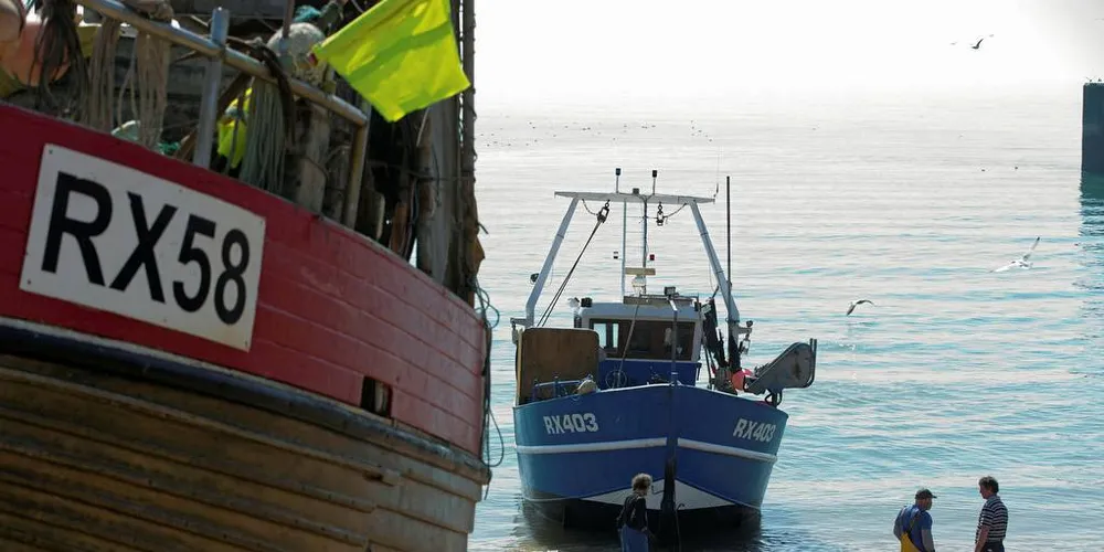 BEKYMRET: – Vi ser at 70–80 prosent av befolkningen er bekymret for overfiske og forurensning av havene. Men selv om det er bekymret, er det ikke særlig informert, mener havforsker Carlos Duarte.Illustrasjonsfoto: Jeff Gilbert