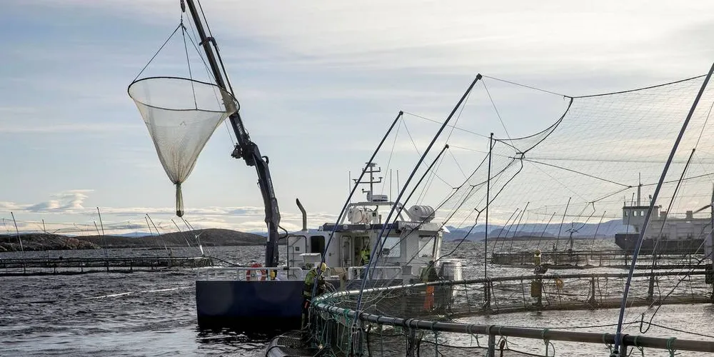 OPPDRETT: I det norske ordskiftet er det bare matproduksjon i sjø som beslaglegger areal. Landbruk holder det i hevd, skriver Høyres Tom-Christer Nilsen i dagens kronikk, hvor han ser nærmere på hvor ulikt man omtaler disse to næringene. Illustrasjonsfoto: Aleksander Nordahl