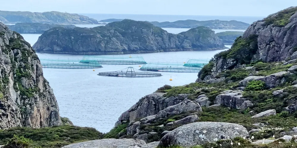 Norge bryter vanndirektivet og skyver atter en gang problemene foran seg, skriver Rune Birger Nilsen. Bildet vise oppdrettsanlegg utenfor Sotra.