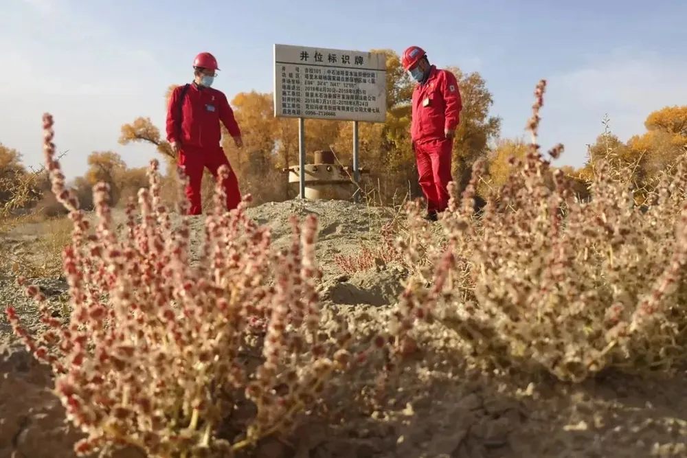 One of the wells being shut down by CNPC at the Tarim field onshore China.