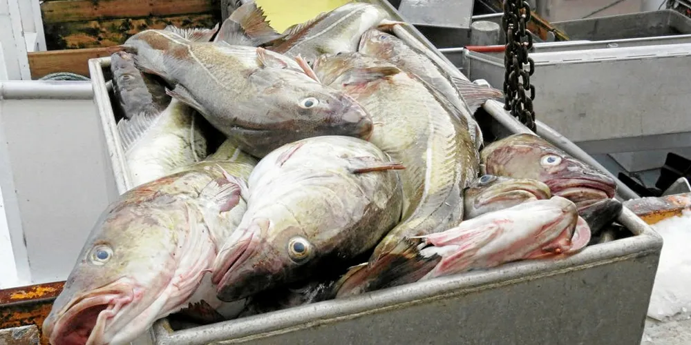 The move was supposed to happen to both the inshore cod and haddock fisheries on April 26, but the cod component was afforded a slight reprieve.
