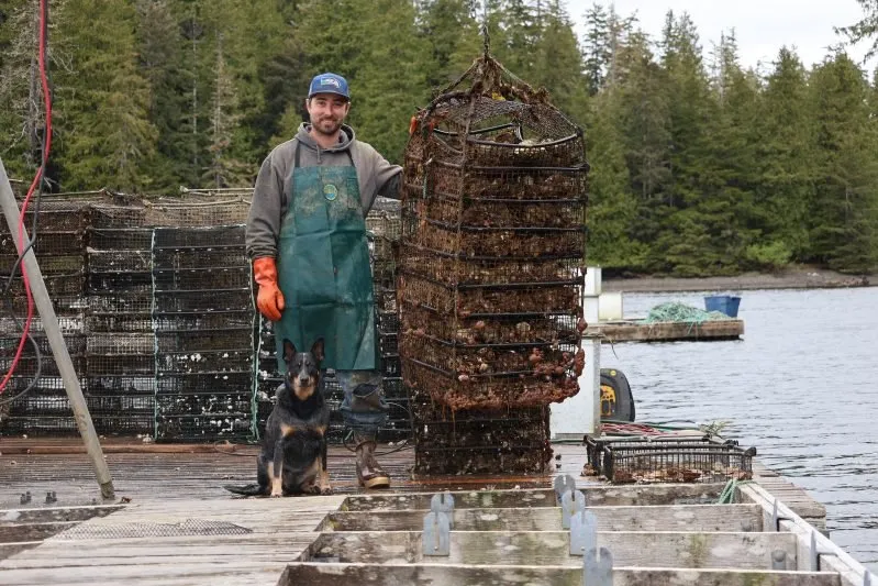 Alaska Mariculture Alliance (AMA) is working on a new campaign.