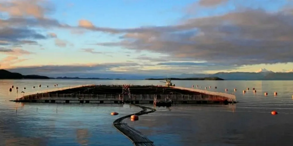 Cermaq Chile contracted commercial diver died on site.