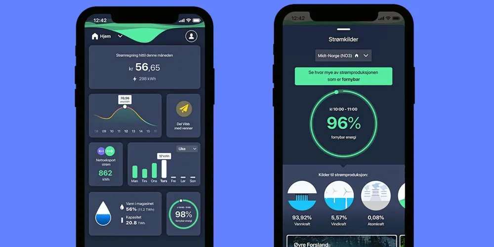 Digitale strømselskaper utvikler stadig nye tjenester. Her fra appen utviklet av Oss/Vibb.