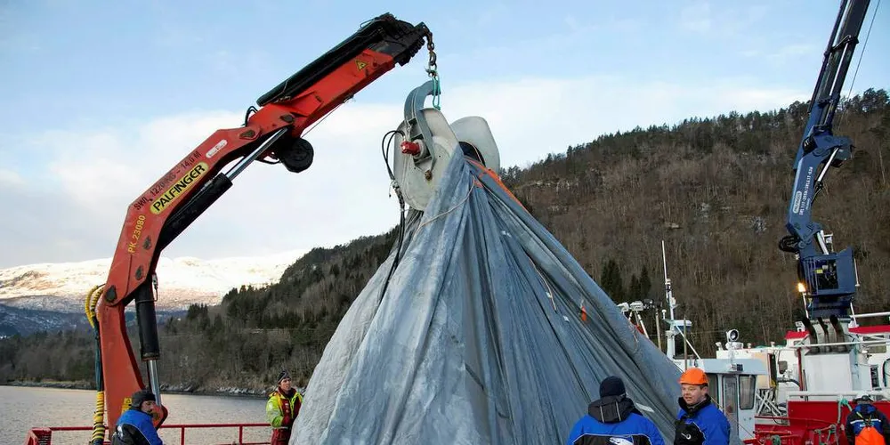 AVLUSING: Fiskarlaget er bekymret for avlusingsmidler brukt i oppdrettsnæringen, som slippes ut i fjordene.