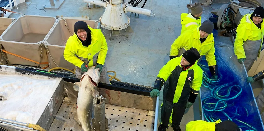 Skal vi greie å skaffe arbeidskrafta sjømatnæringane spør etter, må vi ha utdanningar tilpassa dette behovet, og vi må ha gode etter- og vidareutdanningstilbod. Bildet viser ungdom frå Austevoll vgs på Lofotfiske.
