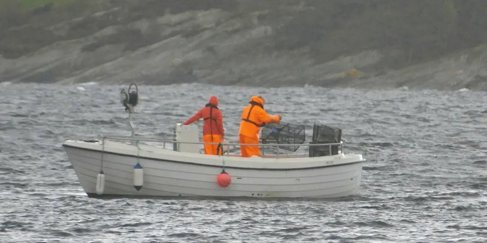 STOR INTERESSE: Det har vært stor pågang fra fiskere som vil registrere seg for hummerfiske-sesongen.