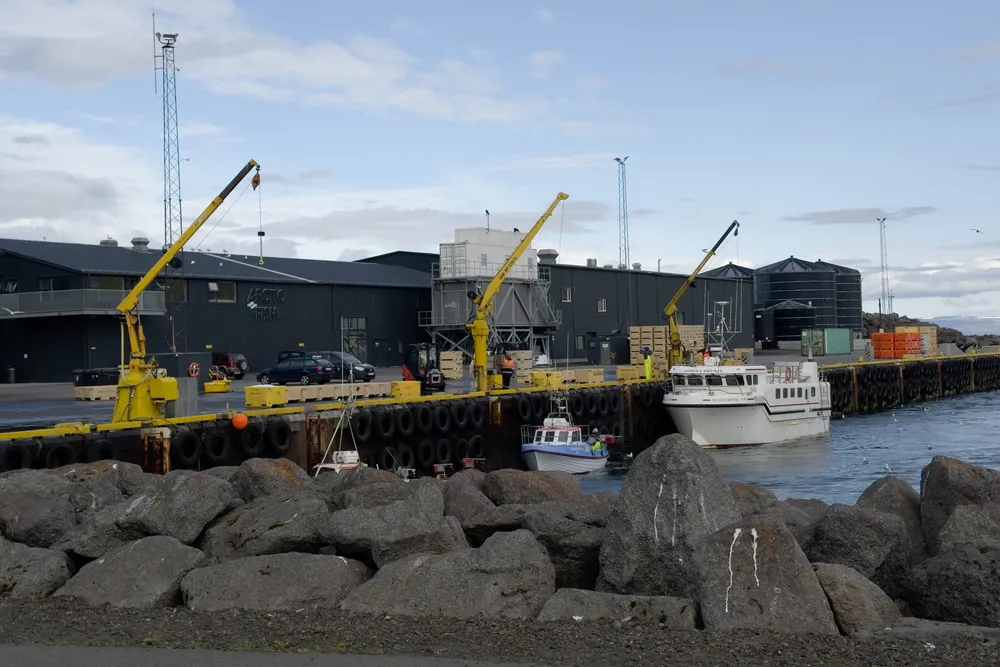 Arctic Fish's salmon facility officially opened in the third quarter of 2023, giving the group a major boost for harvesting and processing its fish.
